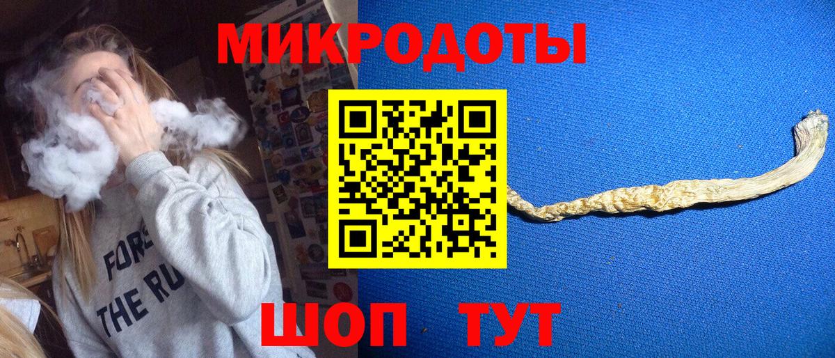 Галлюциногенные грибы Psilocybine cubensis Мичуринск