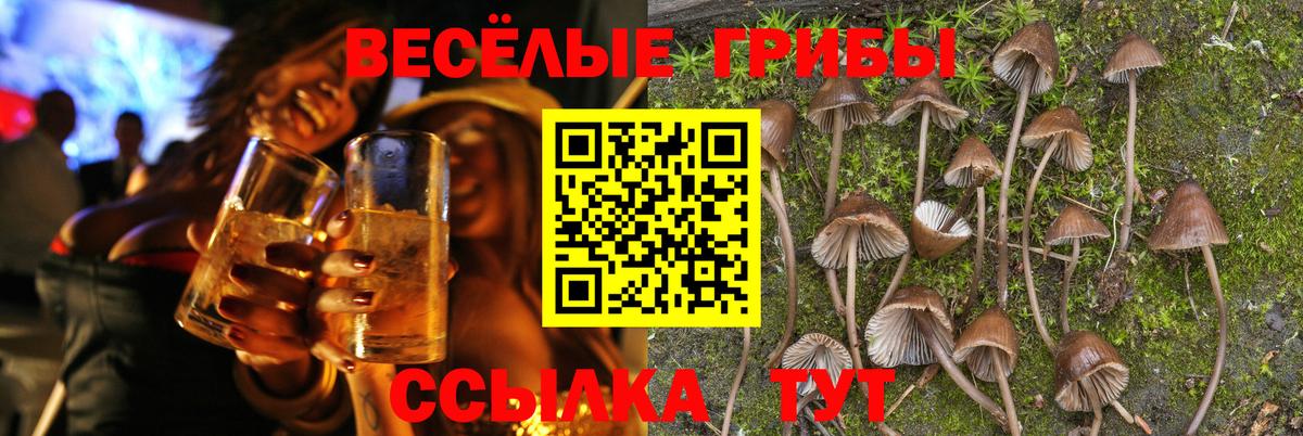 Галлюциногенные грибы Cubensis  Вход с VPN  Мичуринск 
