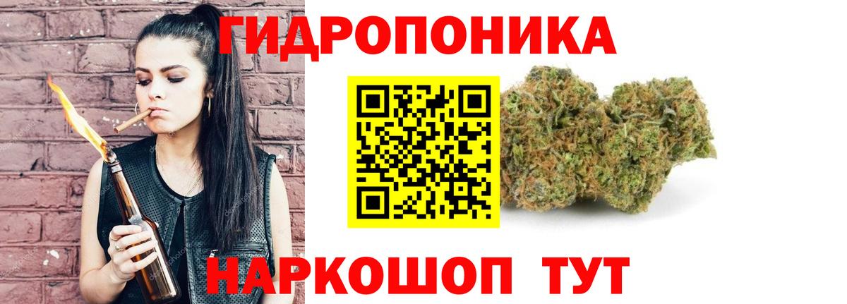 Бошки Шишки OG Kush  Шишки марихуана план  Вход с VPN  Канабис ГИДРОПОН  Мичуринск 
